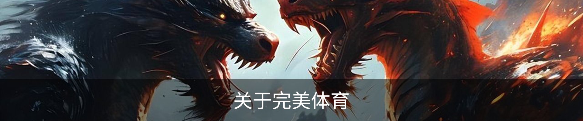 关于完美体育